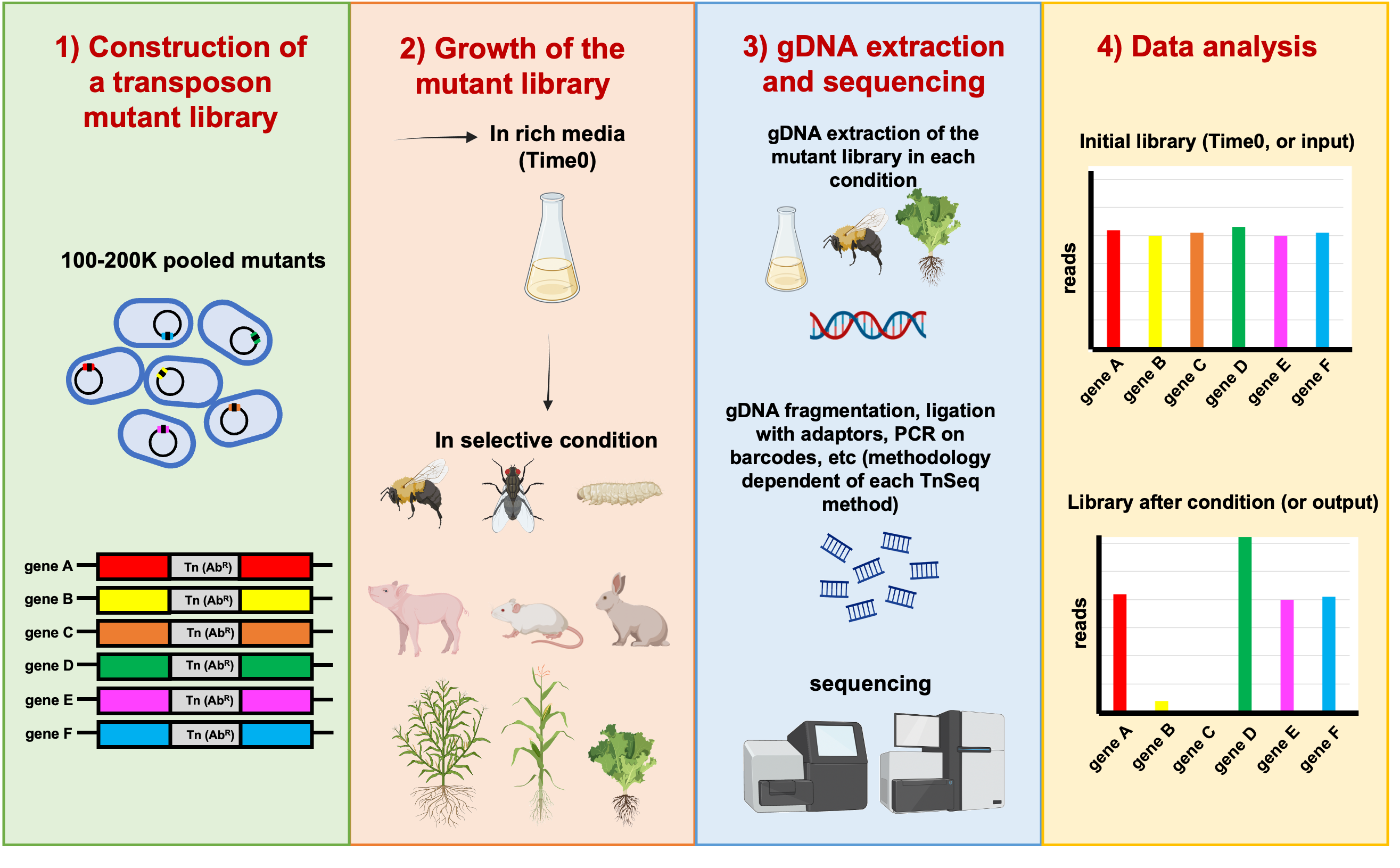 figure1