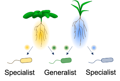 phylogenetic1