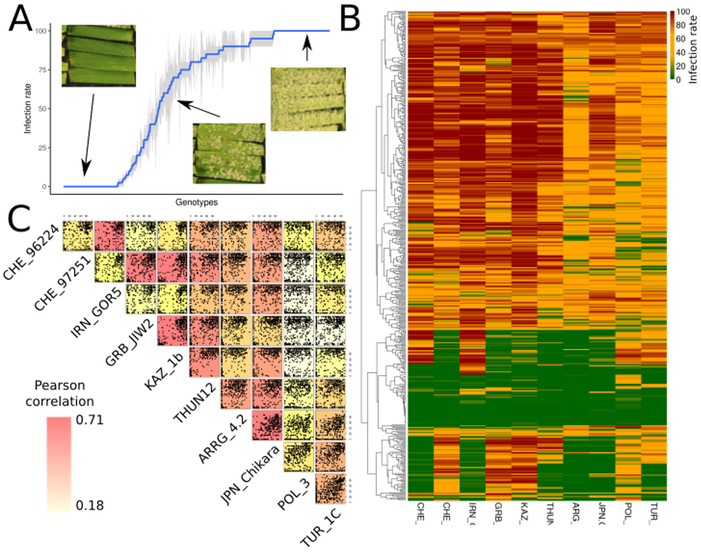 gwas1